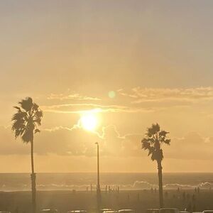 Meet your Posher, Posh